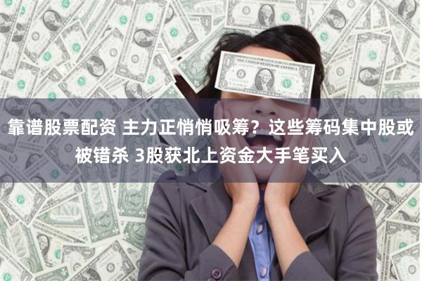 靠谱股票配资 主力正悄悄吸筹？这些筹码集中股或被错杀 3股获北上资金大手笔买入