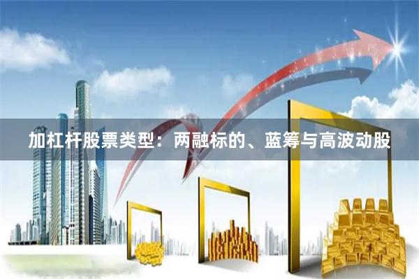 加杠杆股票类型：两融标的、蓝筹与高波动股